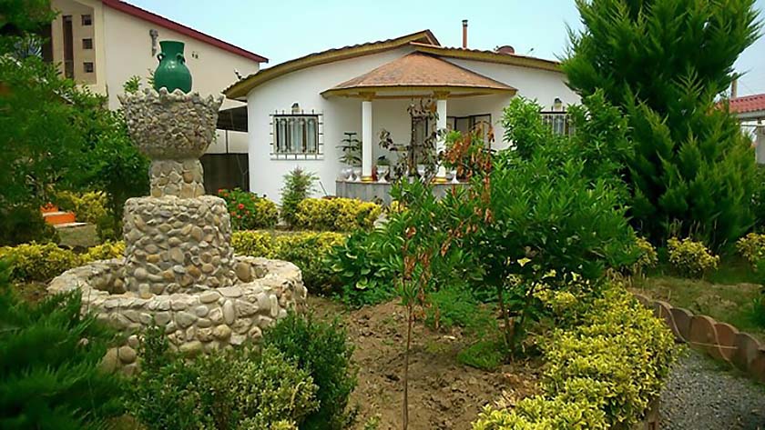 بهترین نهال های زینتی برای فضای ویلا و باغ، از افرا تا سرو